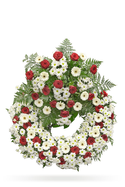 5 5